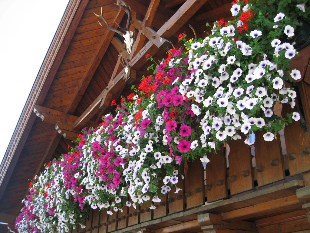 Apartamento Haus Fernblick Kappl  Exterior foto